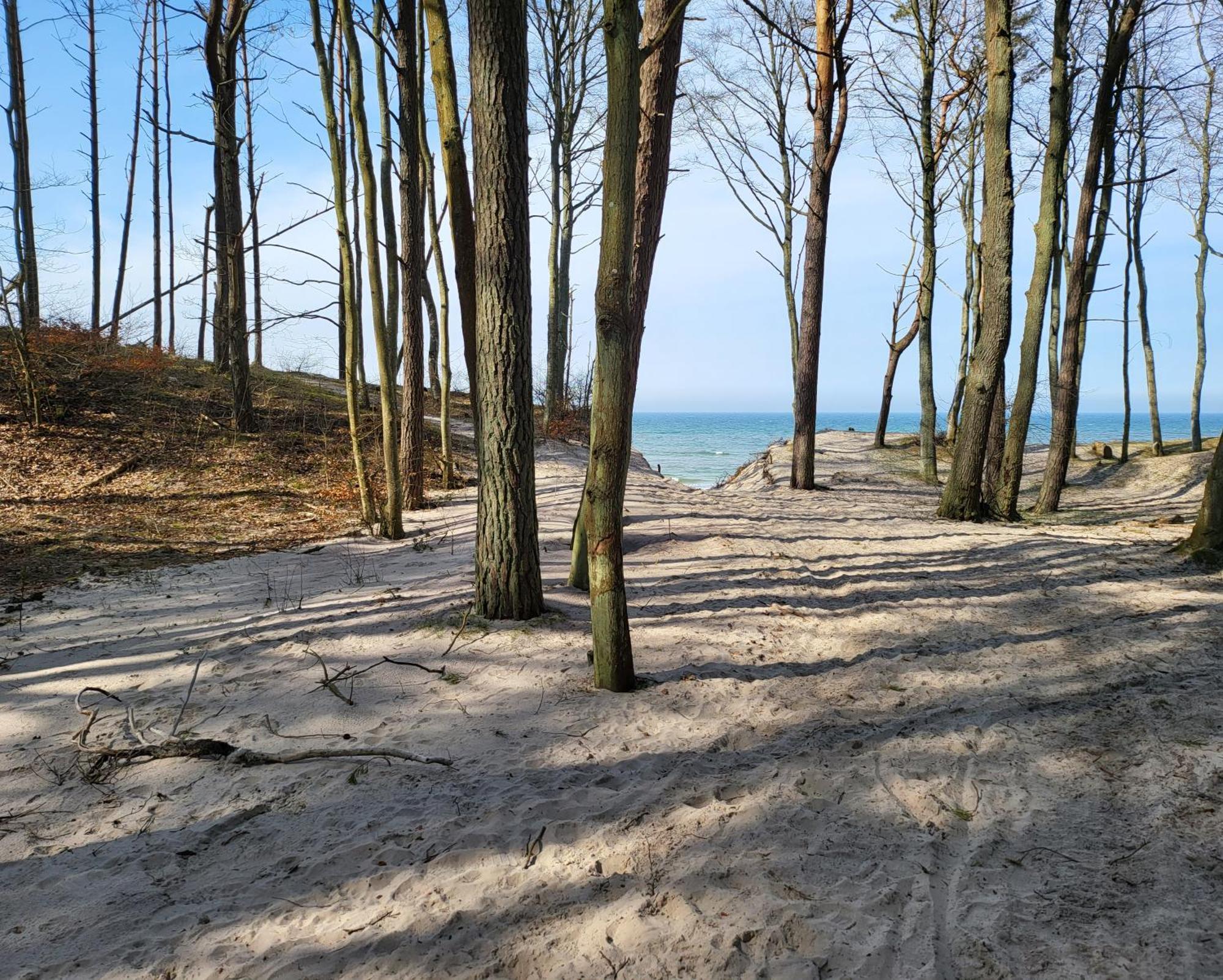 Baltic Barns Brisa Villa Wytowno Екстериор снимка
